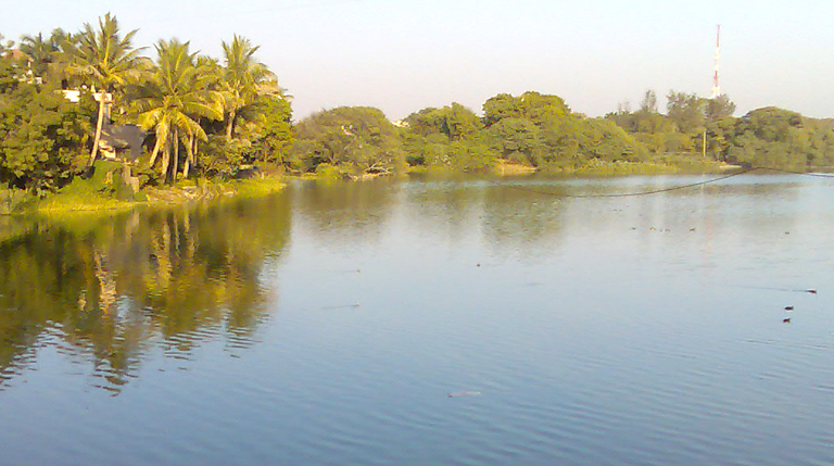 Salim Ali Lake